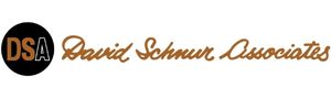 David Schnur Associates